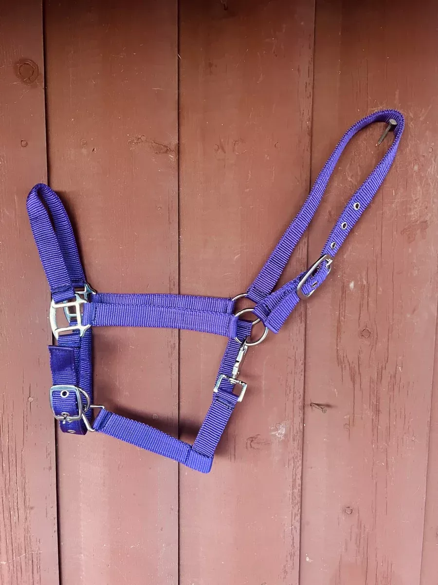 Nylon Horse Halter