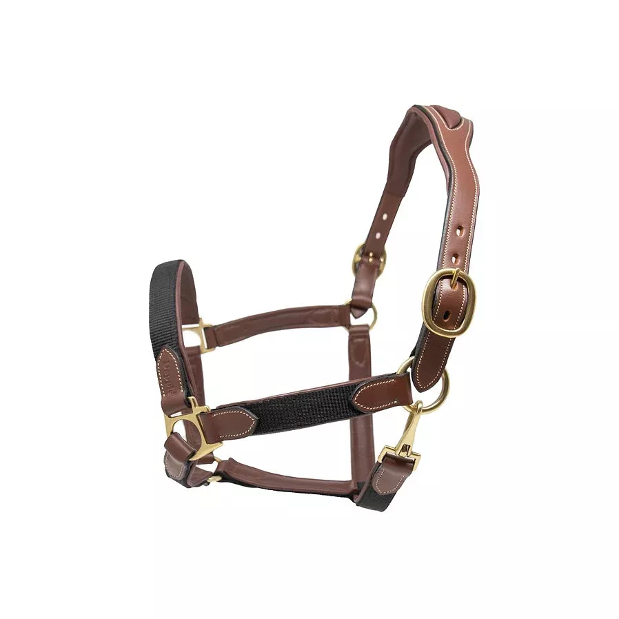 Nylon & Leather Head Collar