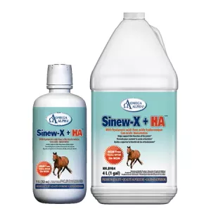 Omega Alpha Sinew-X + HA™