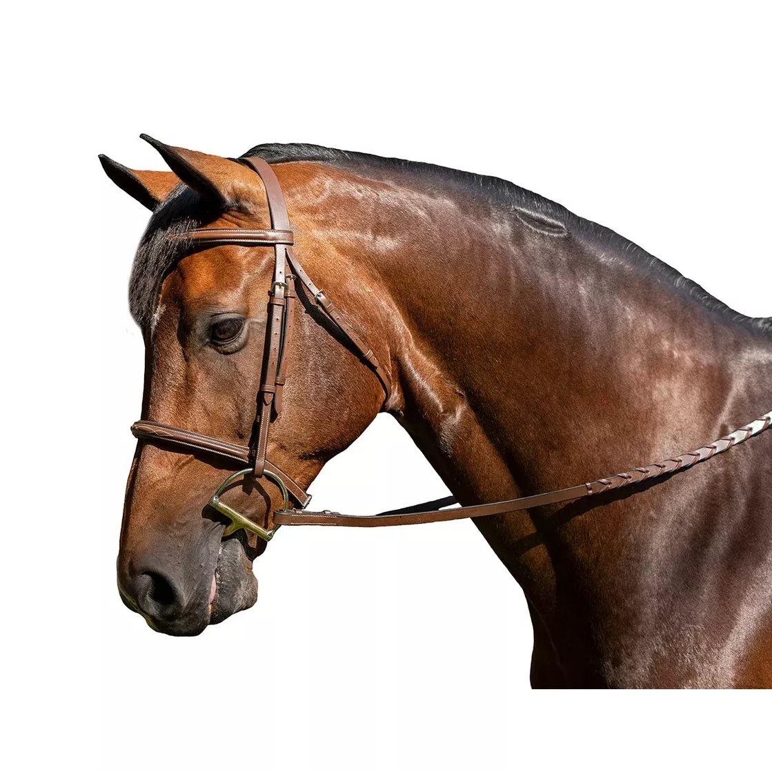 On Sale FLEX RIDER Fancy Stitched Raised Snaffle Bridle
