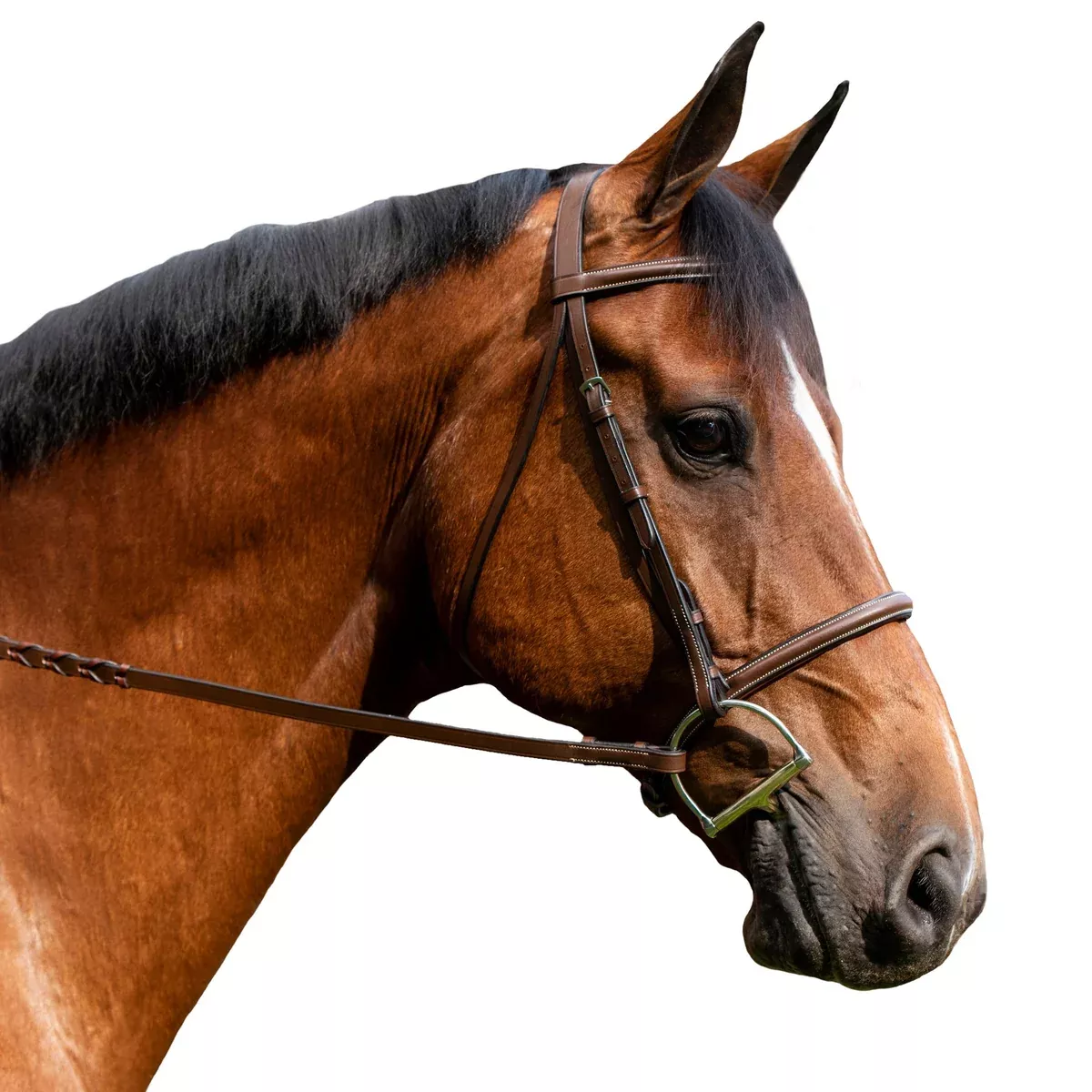 On Sale FLEX RIDER Plain Raised Snaffle Bridle