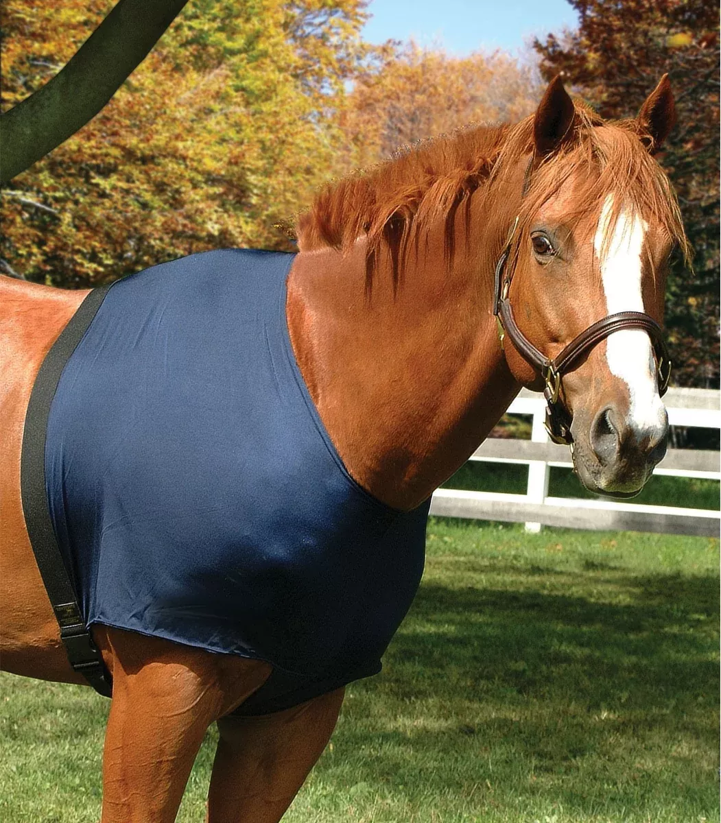ON SALE Flex Rider Stretchies Shoulder Guard