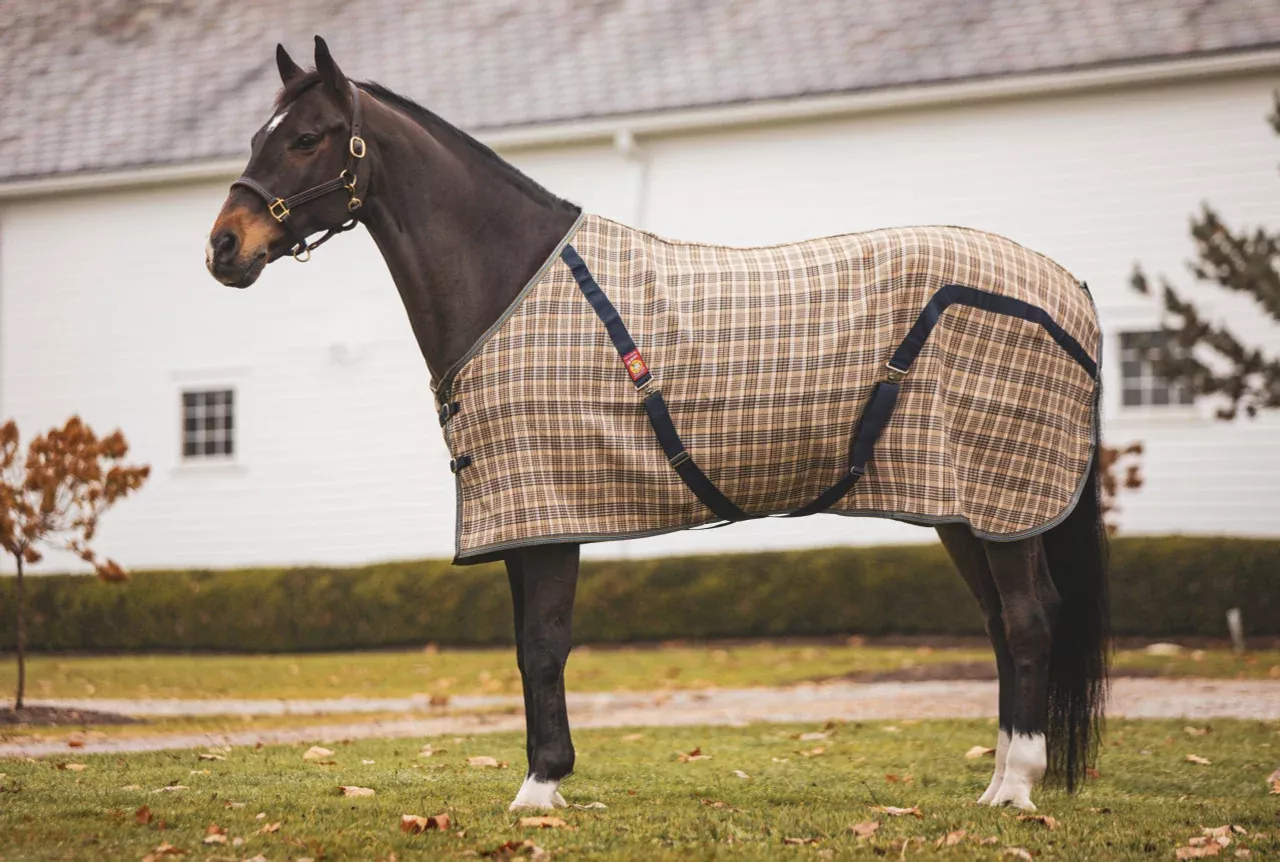 Original 5/A Baker Blanket
