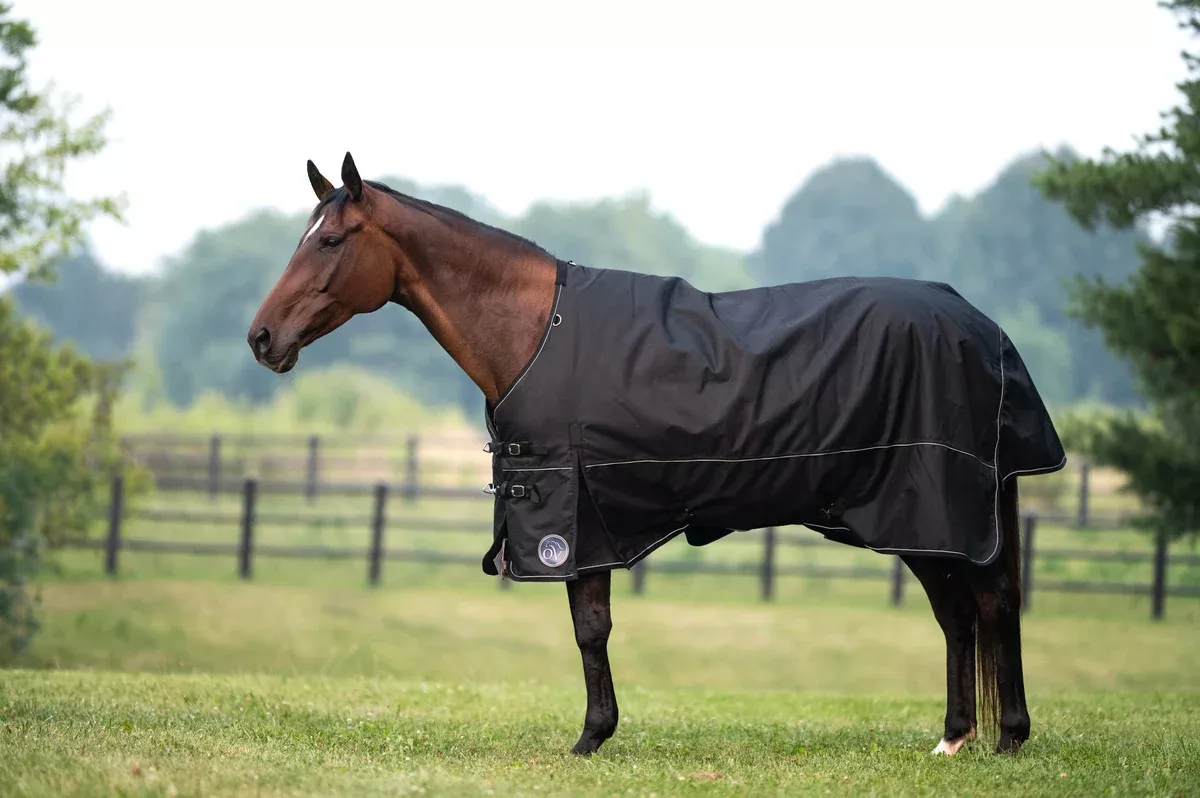 Ovation 1200D Sequoia Turnout Blanket - 300g