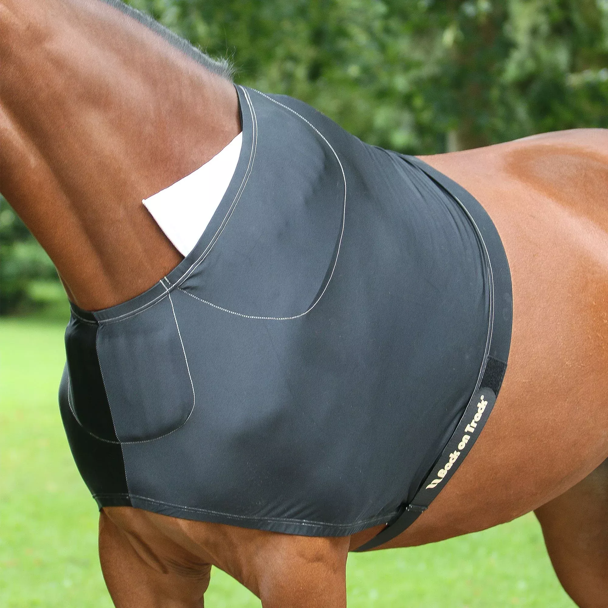 Padded Shoulder Guard