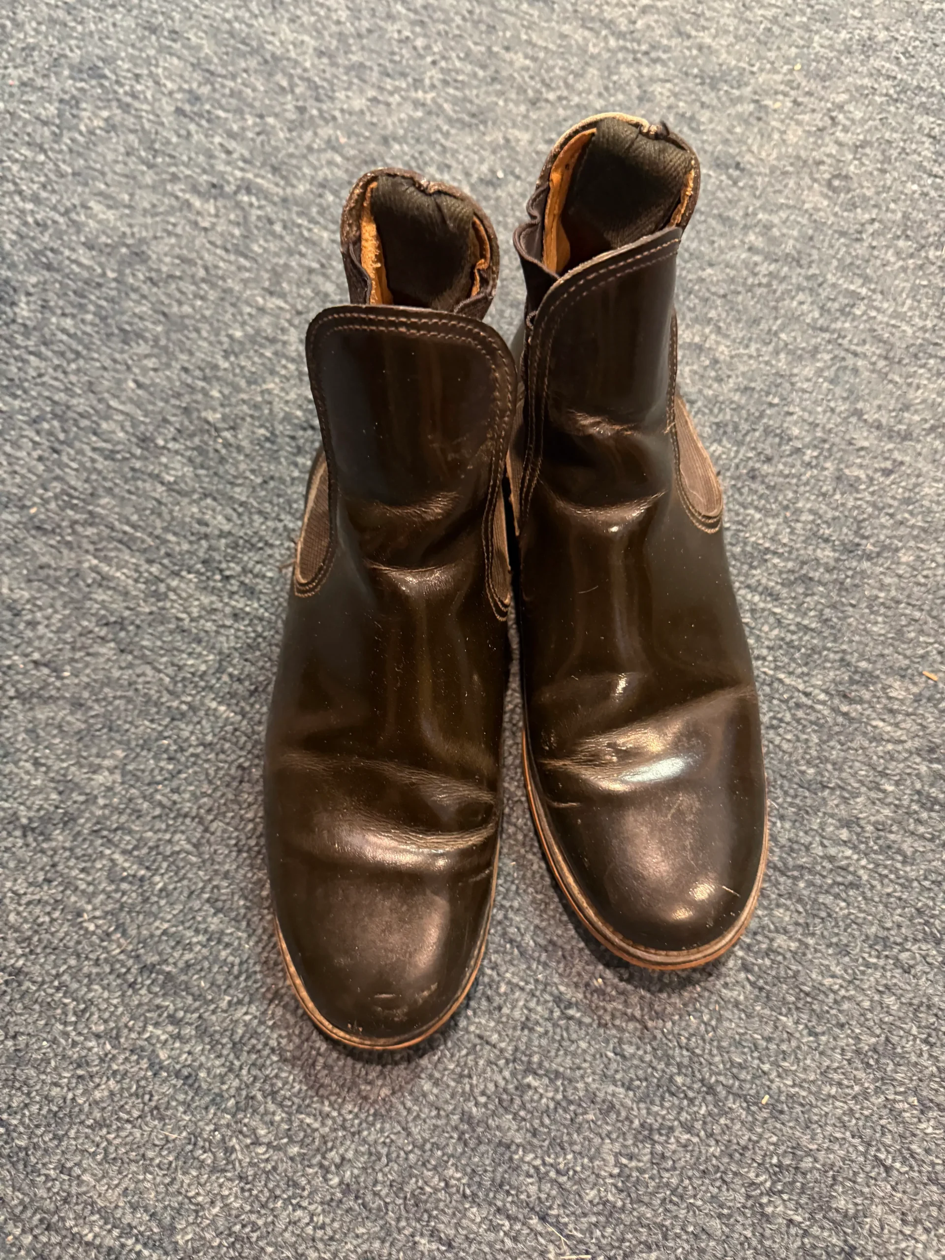Paddock Boots assorted