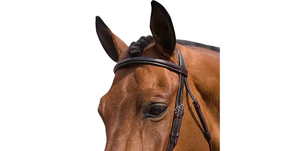 Part: MTL CROWN FOR NEWER LIZA Snaffle, FULL, CHOCOLATE