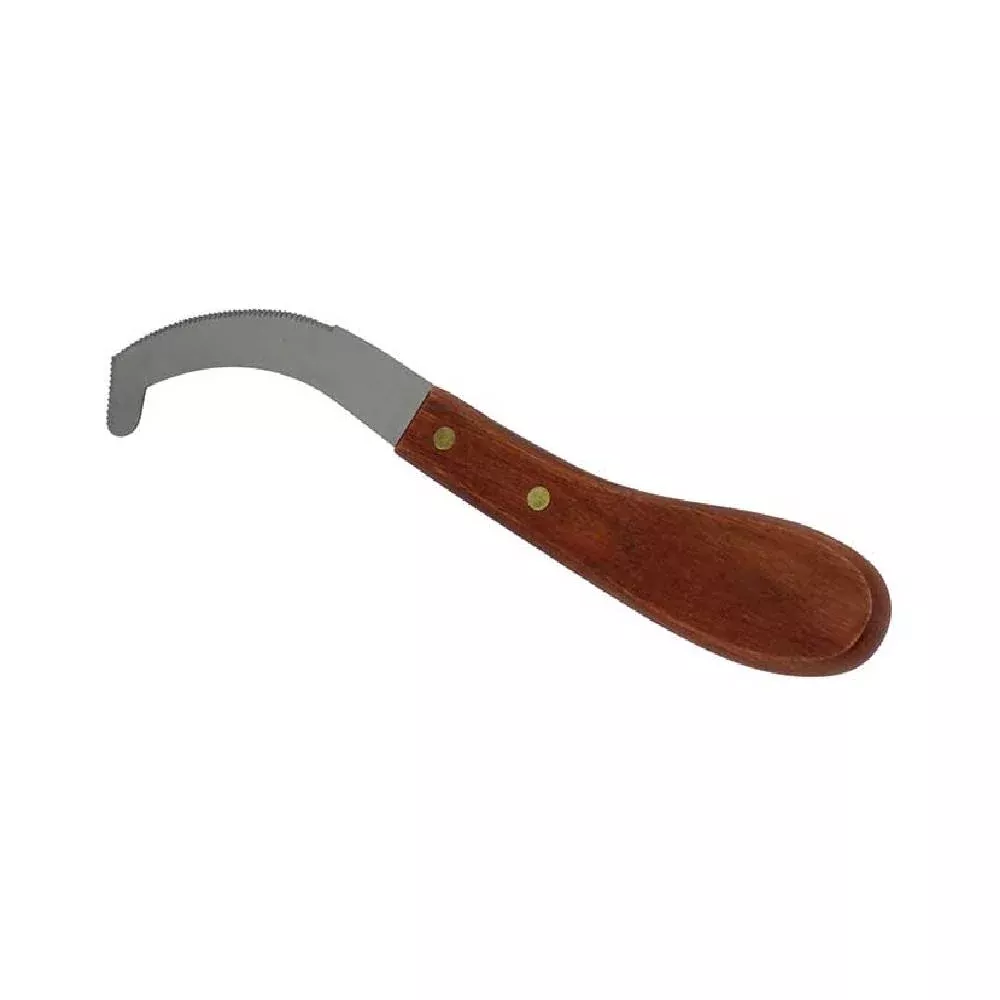 Partrade Stainless Steel Bot Egg Scraper