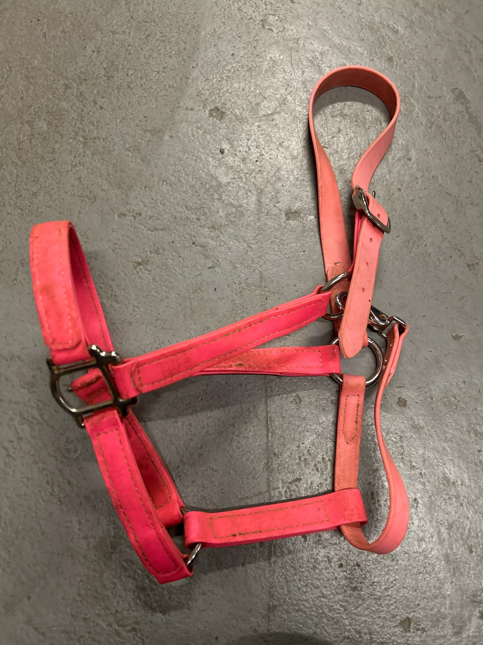 Pink Biothane Halter