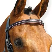Pink Equine Browband