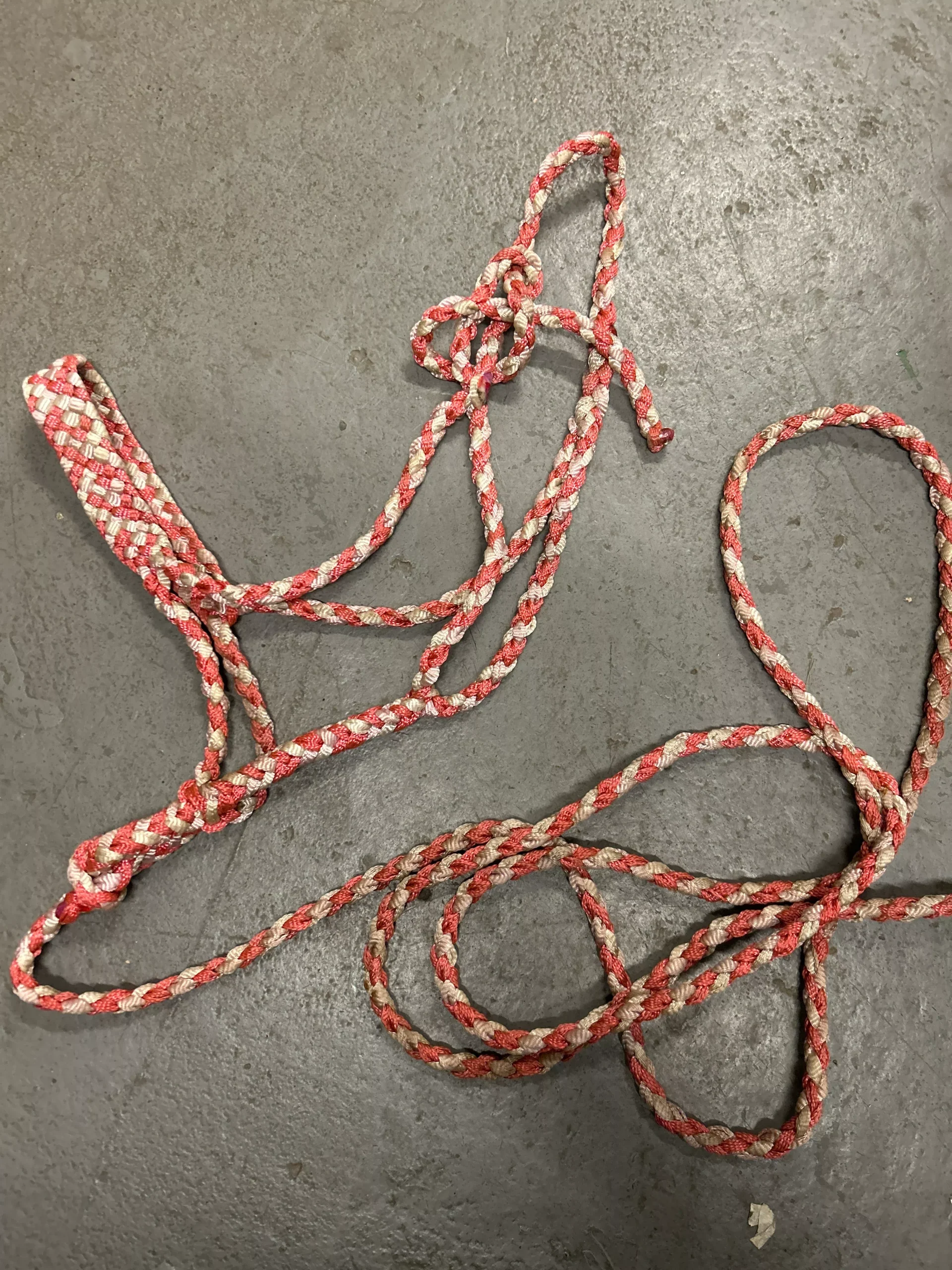 Pink and White Mule Tape Halter with Lead