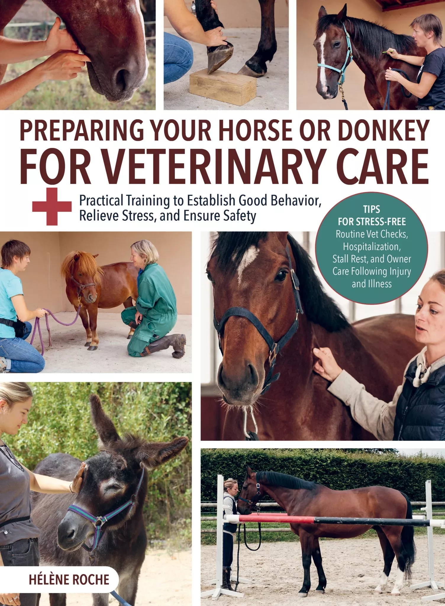 Preparing Your Horse or Donkey for Veterinary Care