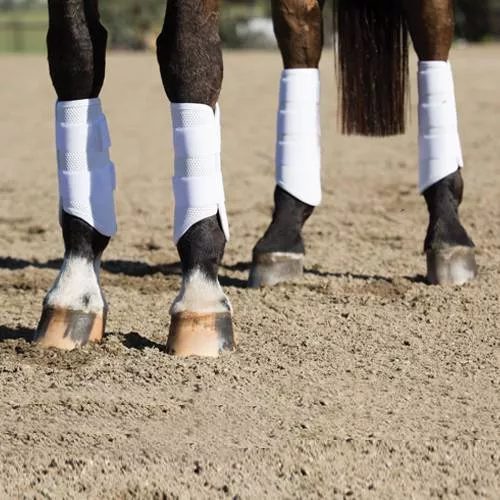 Professional's Choice Pro Performance Elite REAR XC Boots