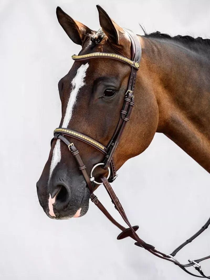 PS of Sweden Antwerp Original & 2.0 Bridle in Brown