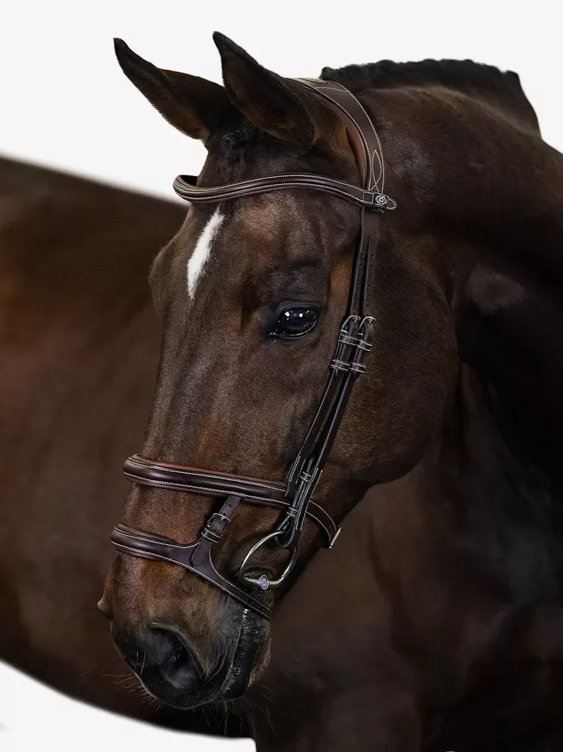 PS of Sweden Paris Bridle in Brown