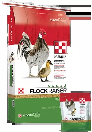 Purina Flock Raiser Crumbles