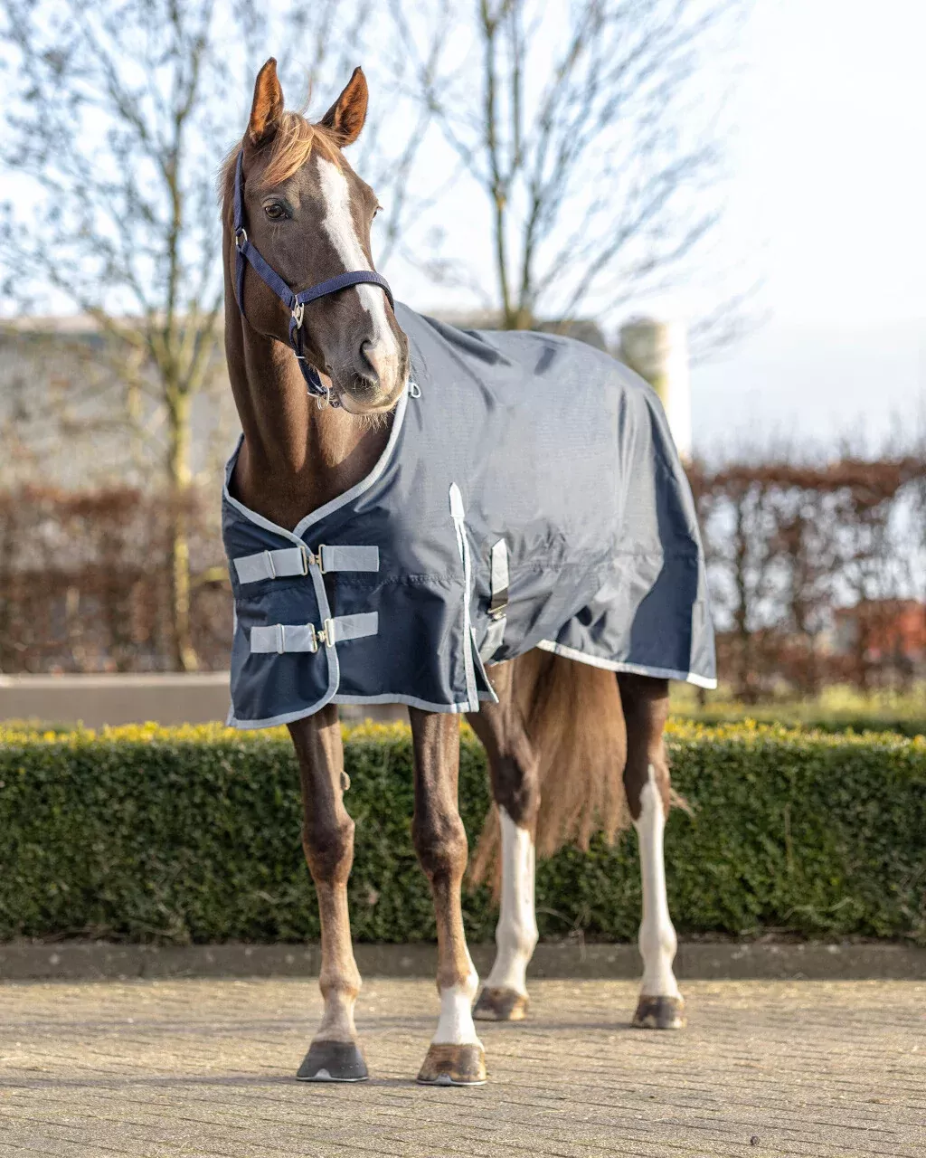 QHP 600D Turnout Rug