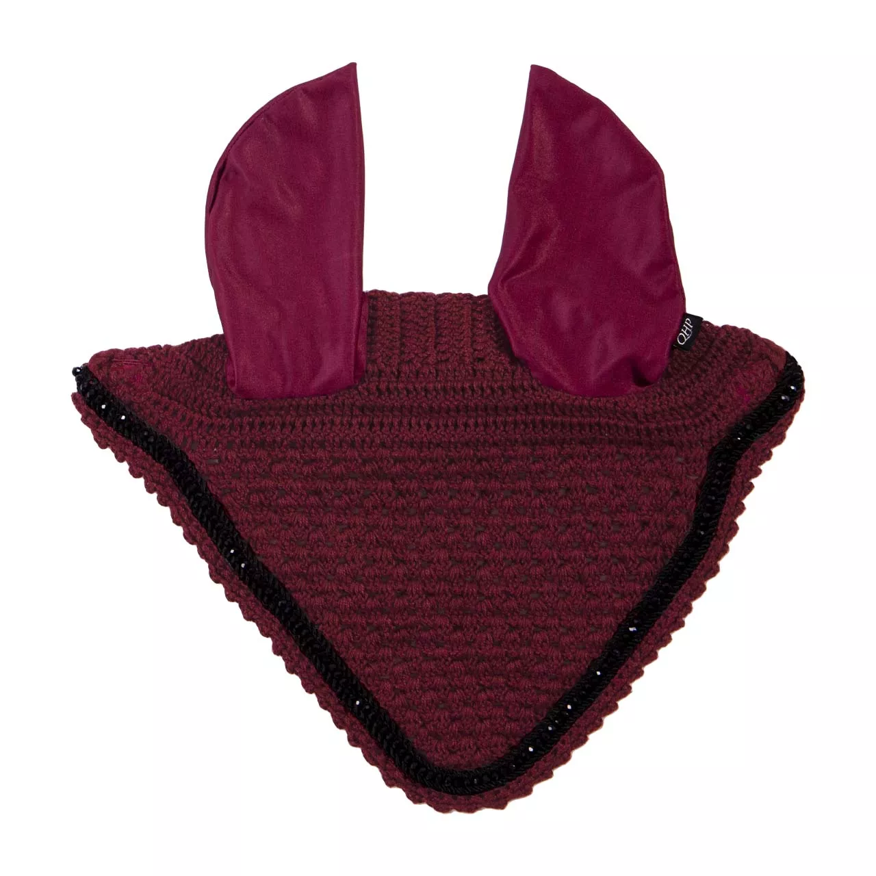 QHP Astana Ear Net