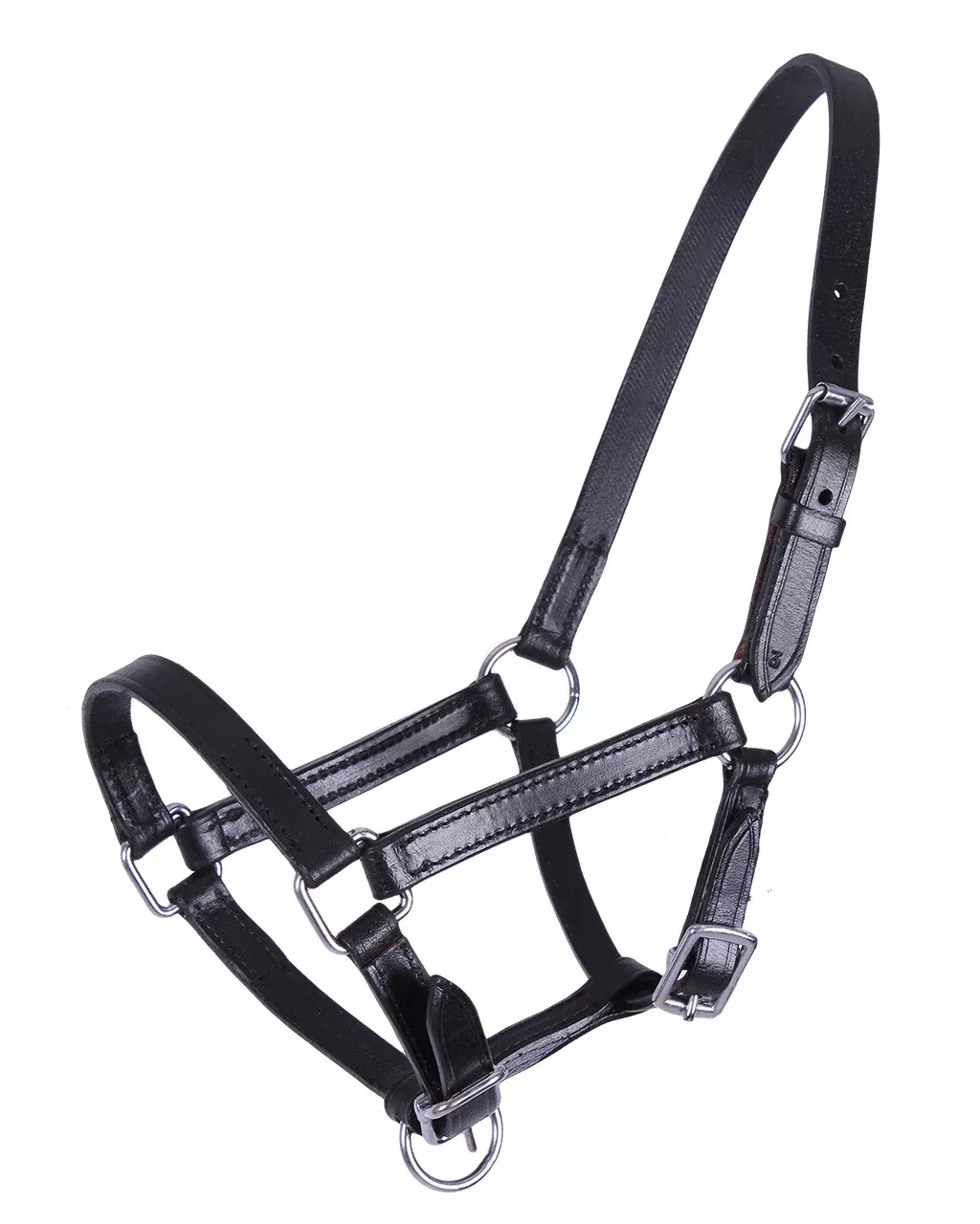 QHP Chico Foal Leather Halter