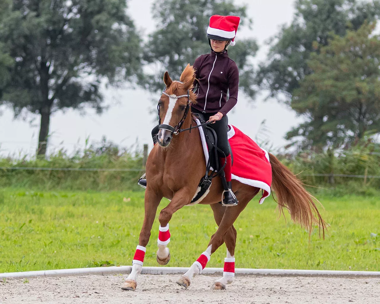 QHP Christmas Bandages