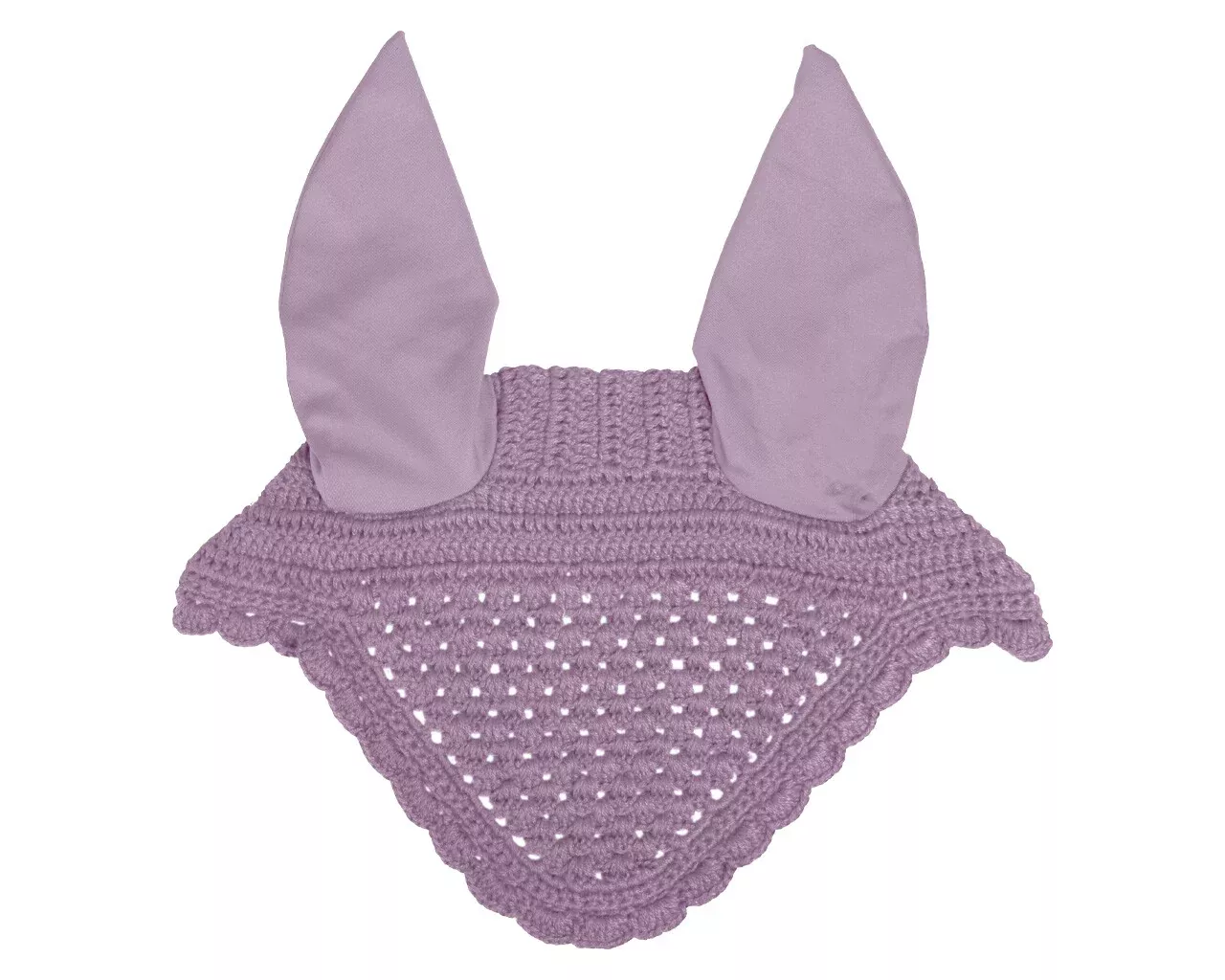 QHP Ear Net Florence