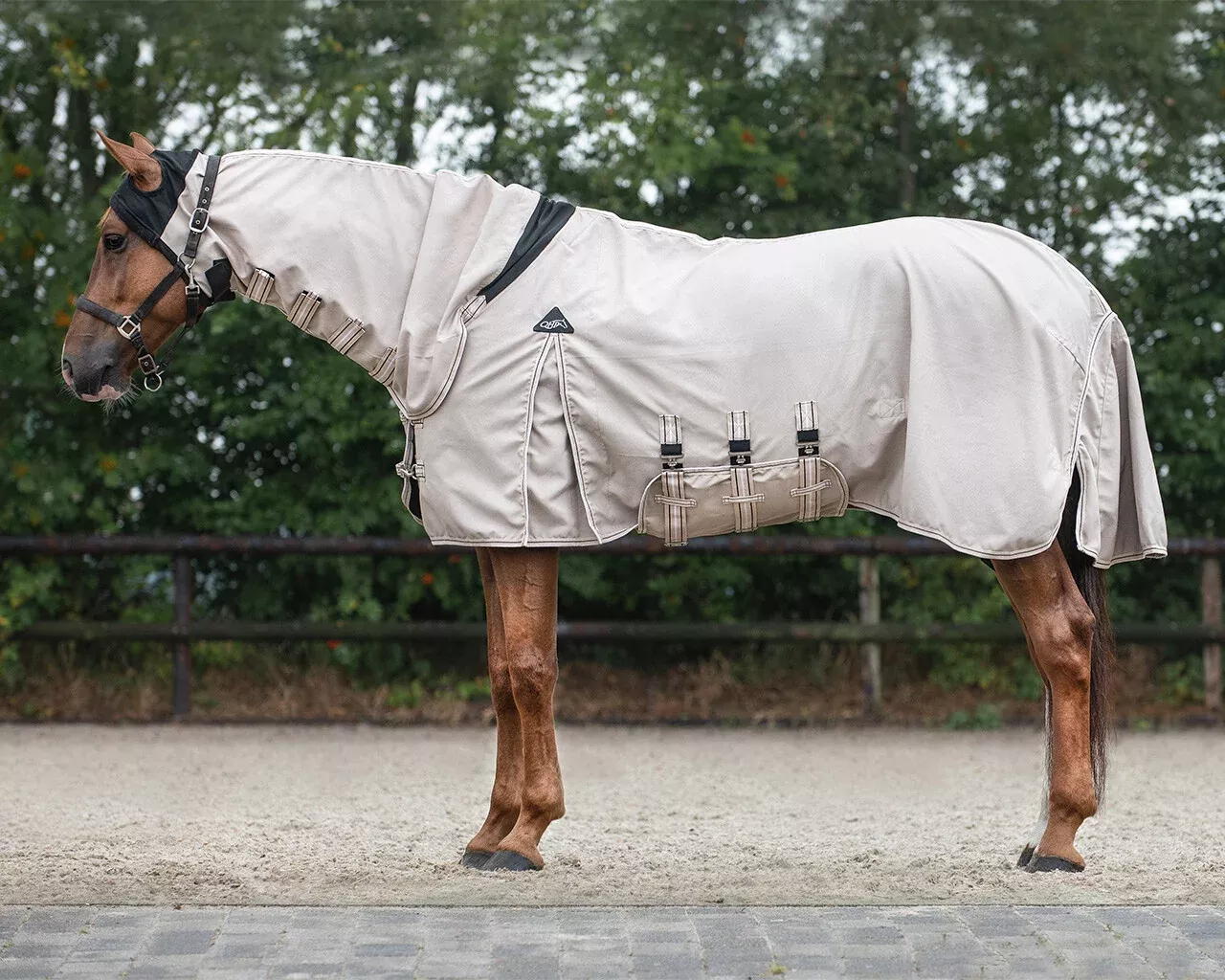 QHP Eczema Rug Hoodie