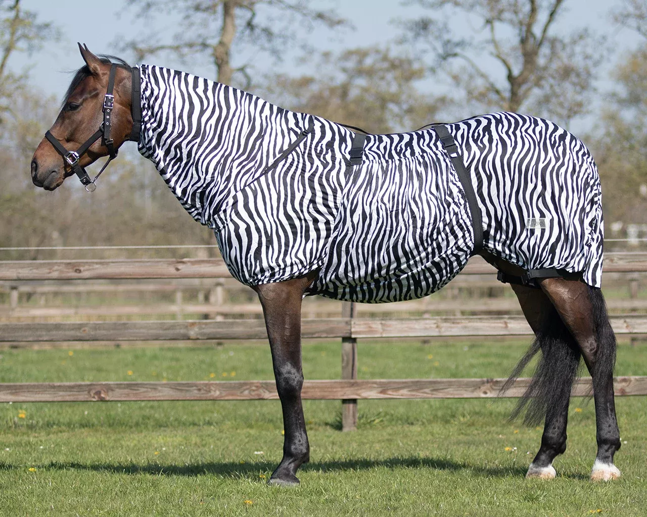 QHP Eczema Rug-Zebra
