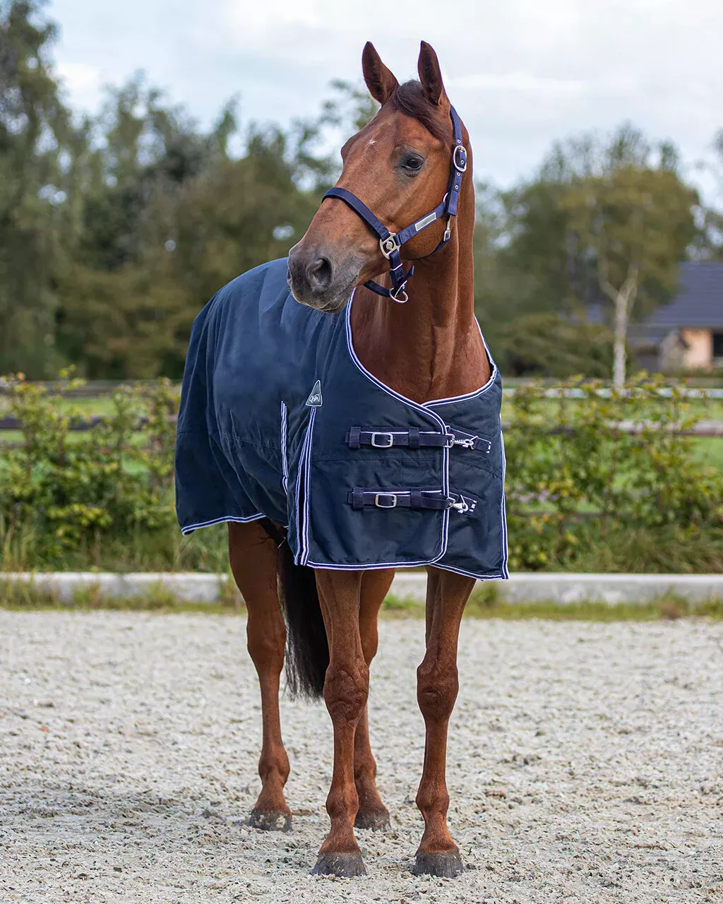 QHP Luxury Rain Rug Turnout