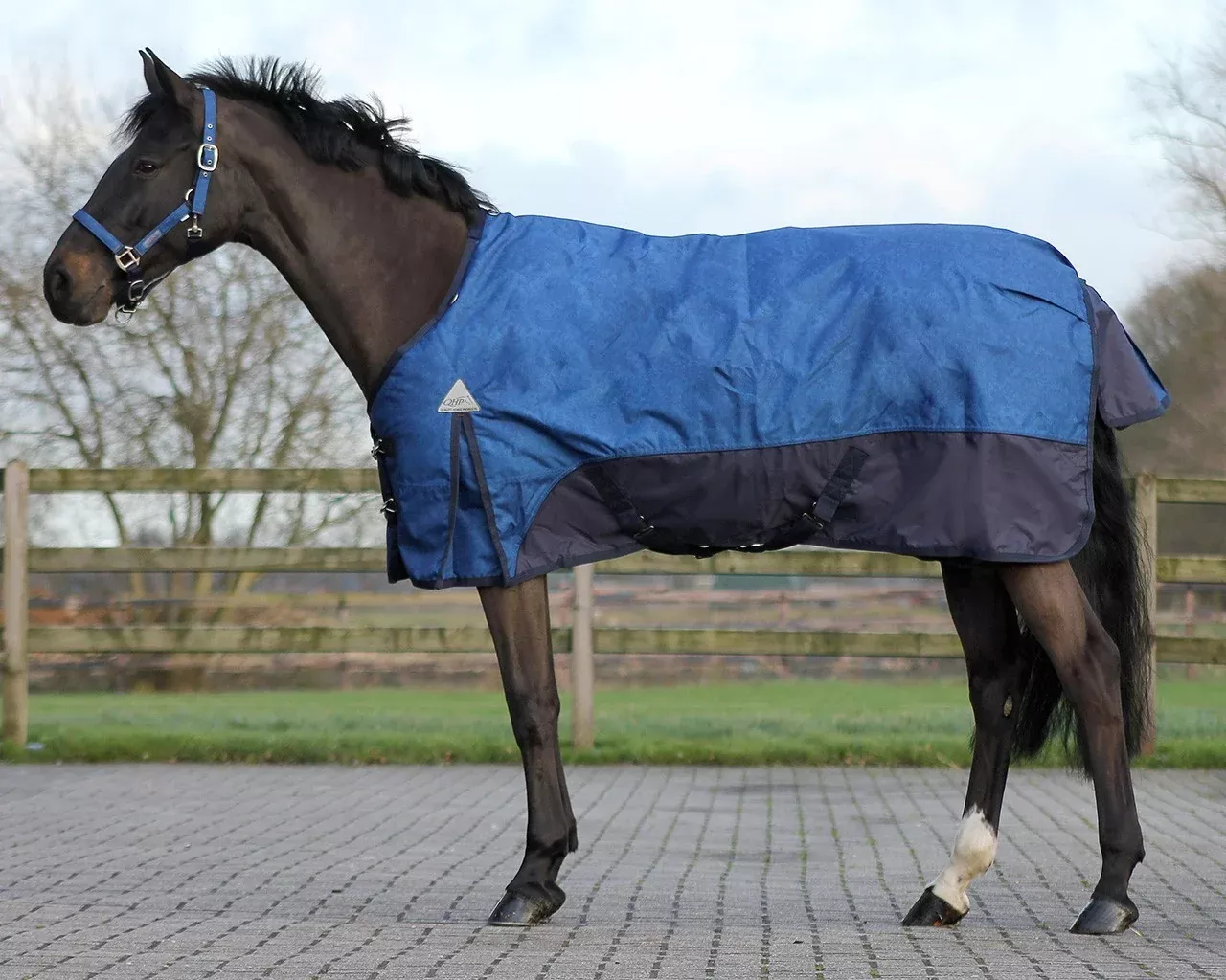 QHP Luxury Turnout Blanket (175 cm /69 in)