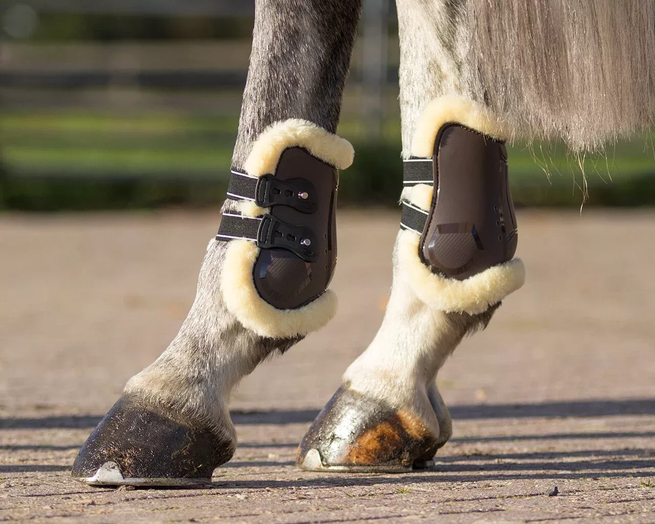 QHP Ontario Fetlock Boots