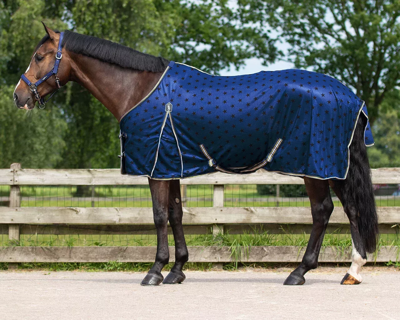 QHP Stardust Fly Sheet
