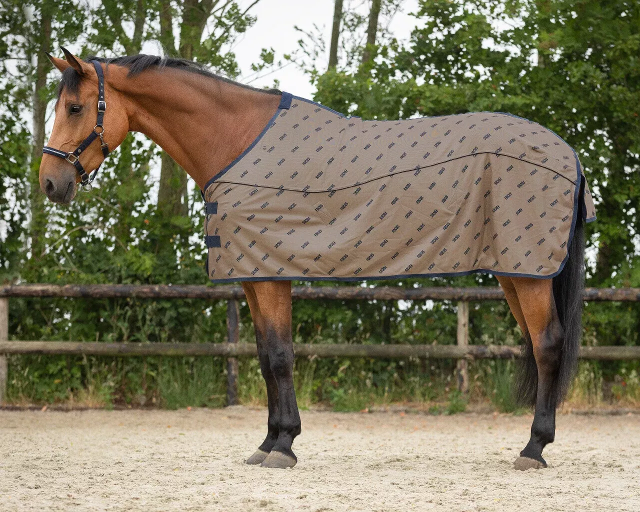 QHP Summer Focus Pony Fly Sheet