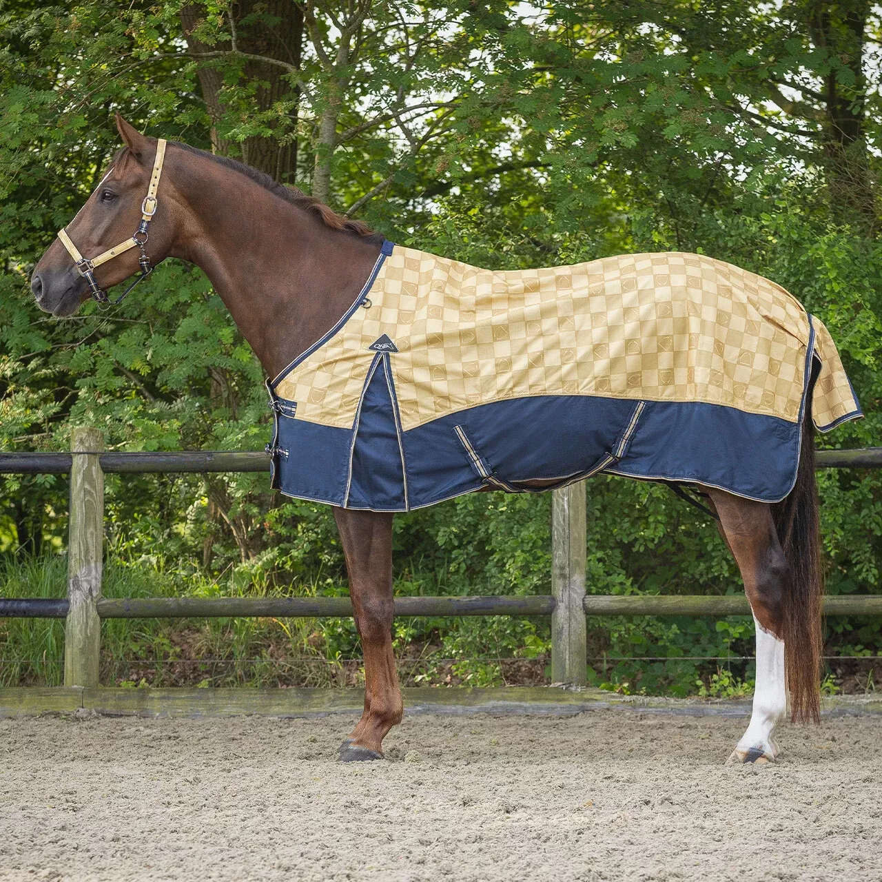 QHP Turnout Rug (No Filling)