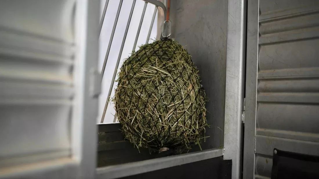 Quarter Bale Net