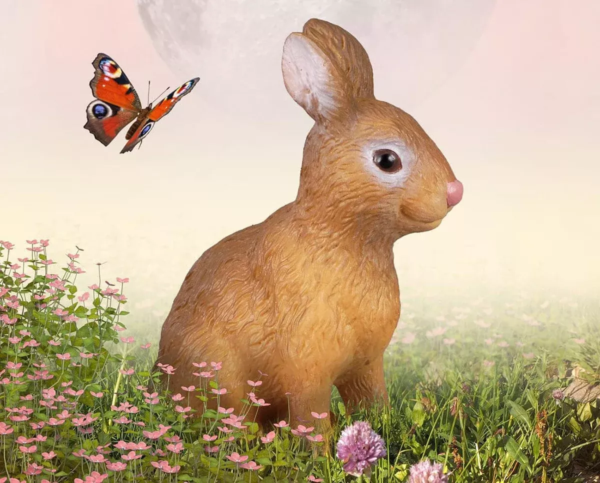 Rabbit