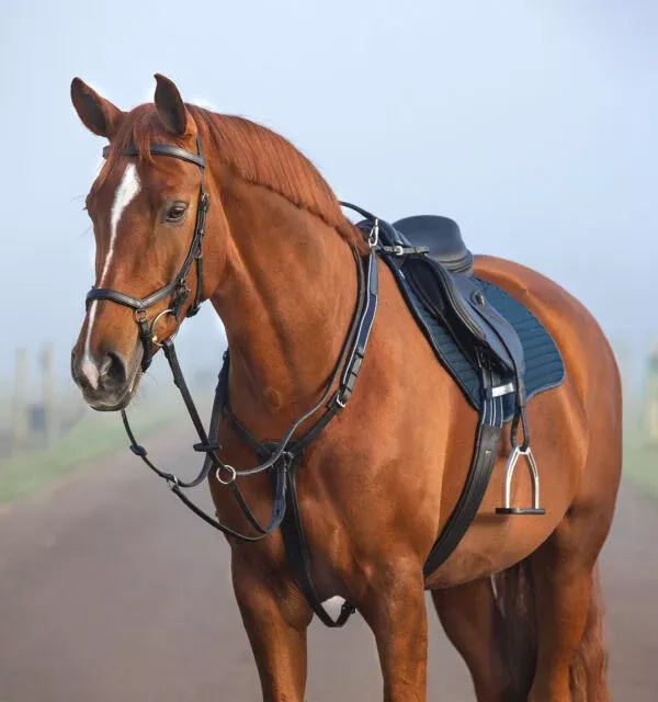 Rambo Micklem Breastplate
