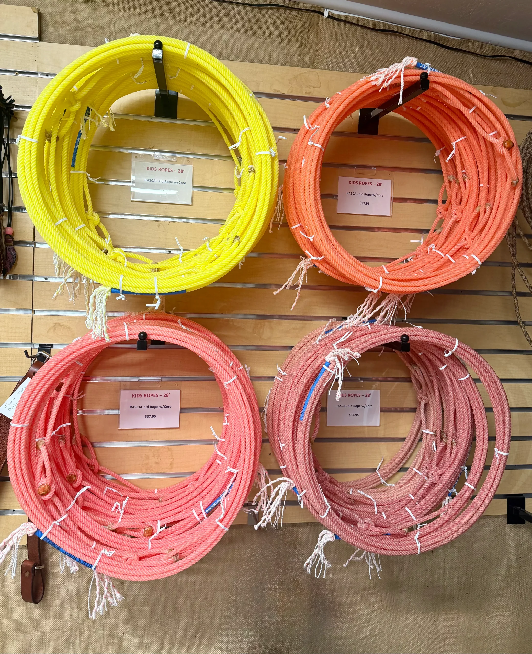 RASCAL 28' Kids Team Rope by Republic Ropes