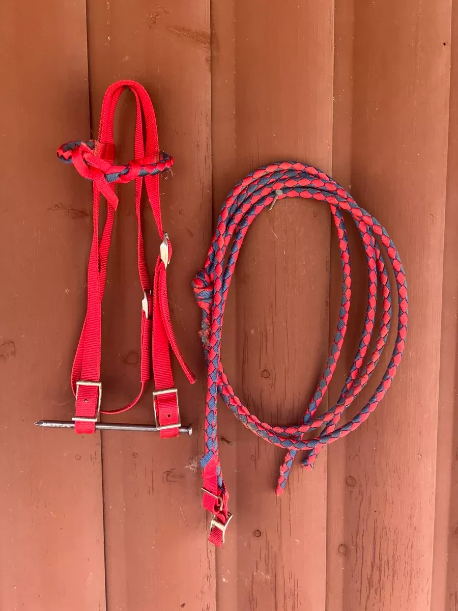 Red Nylon Horse Headstall and Braided Nylon Split Reins Tack SetHS1165