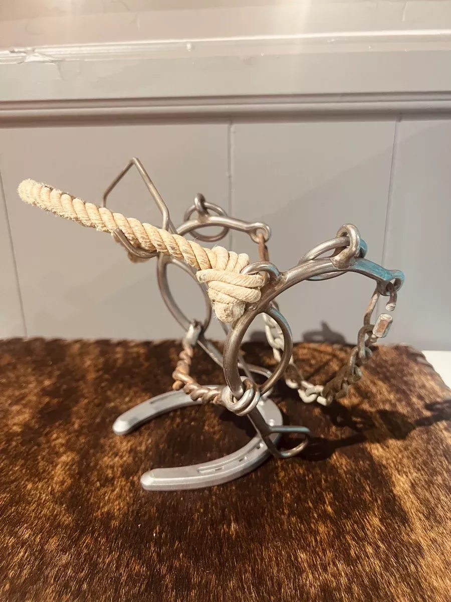 Reinsman 902 Rope Nose Twisted Wire Combo Bit