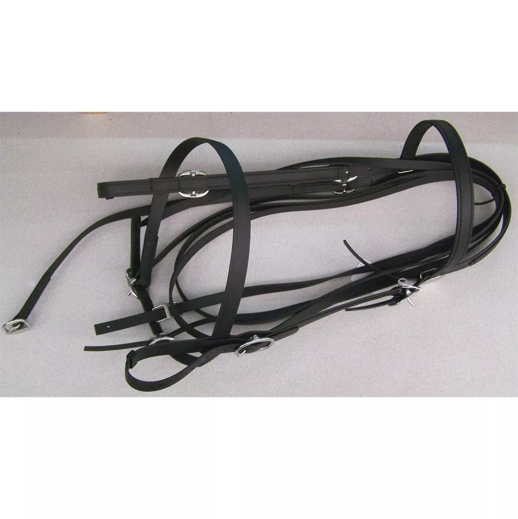 Riding Bridle Beta With Noseband Without Bit