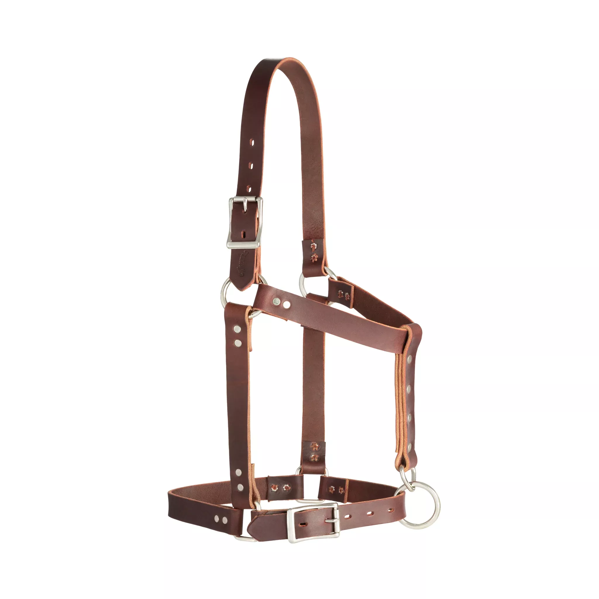 Riveted Halter
