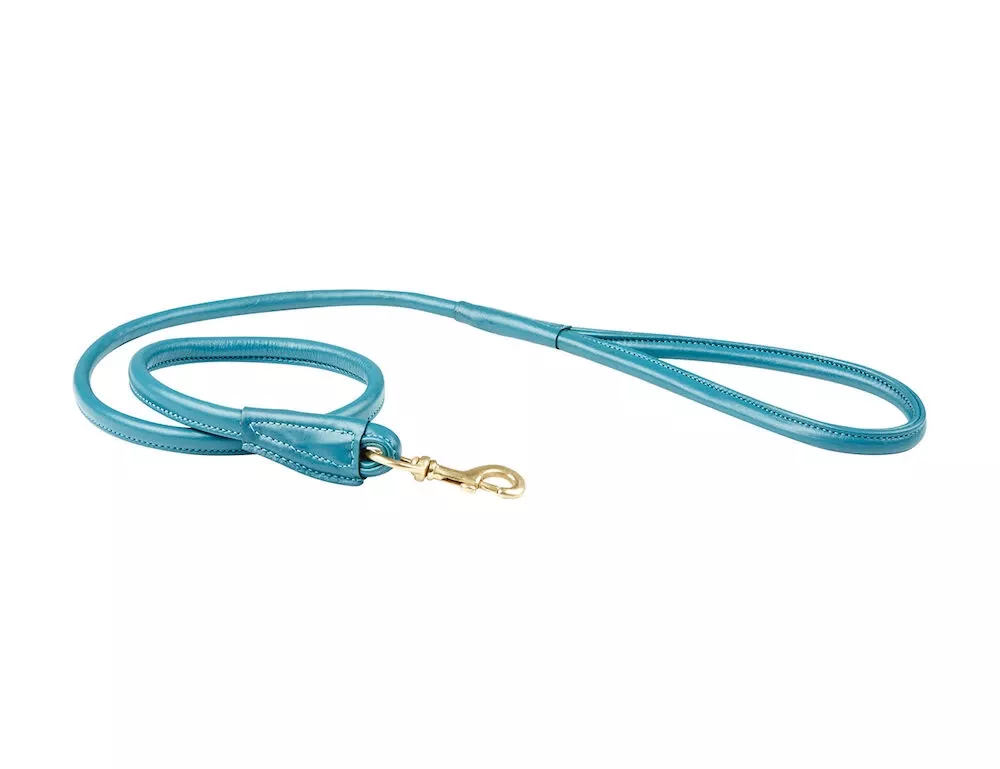 Rolled Leather Dog Lead