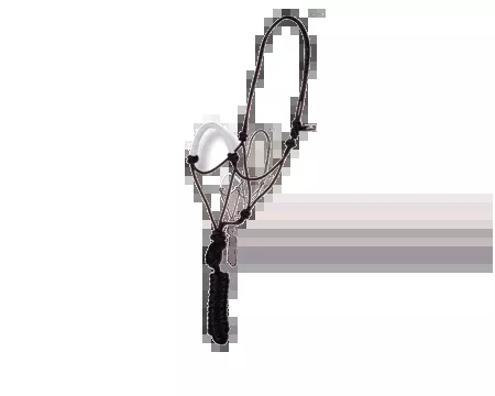 Rope Halter & Lead with Wrapped Noseband