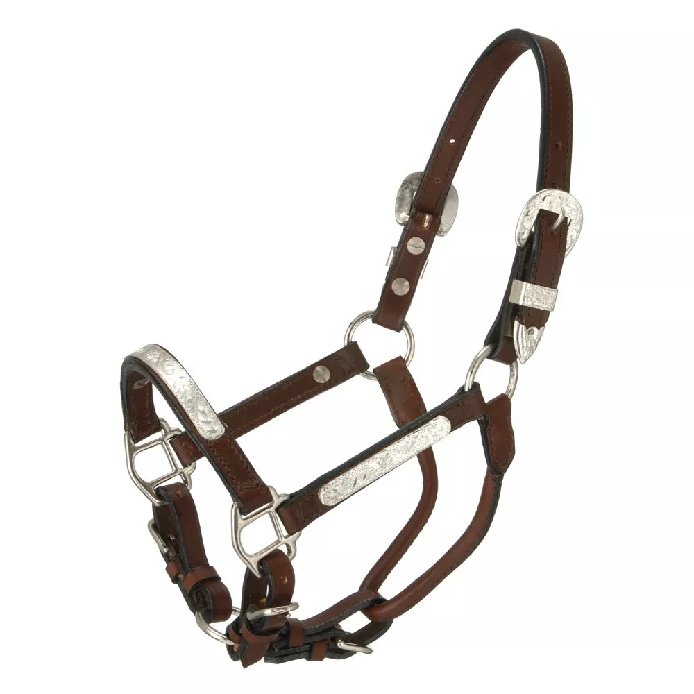 Royal King Silver Bar Show Halter Miniature