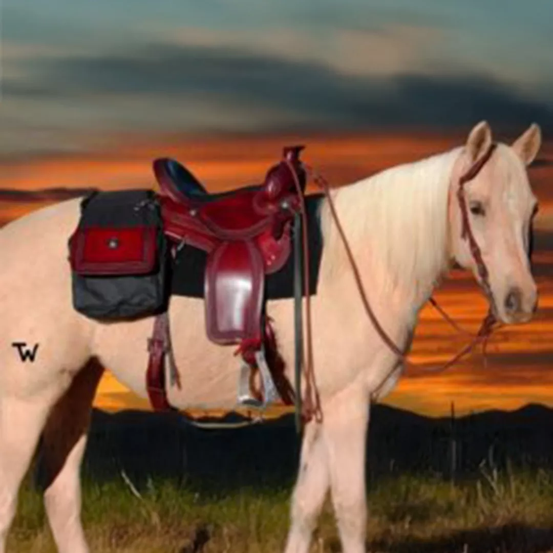 Saddle Bag