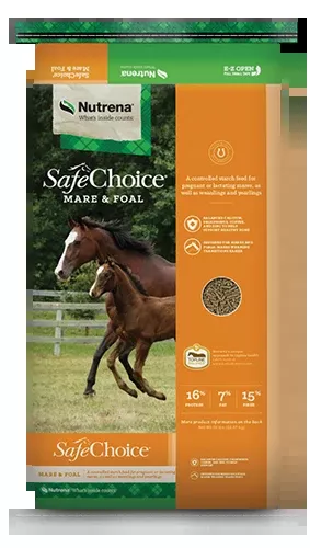 SafeChoice Mare and Foal