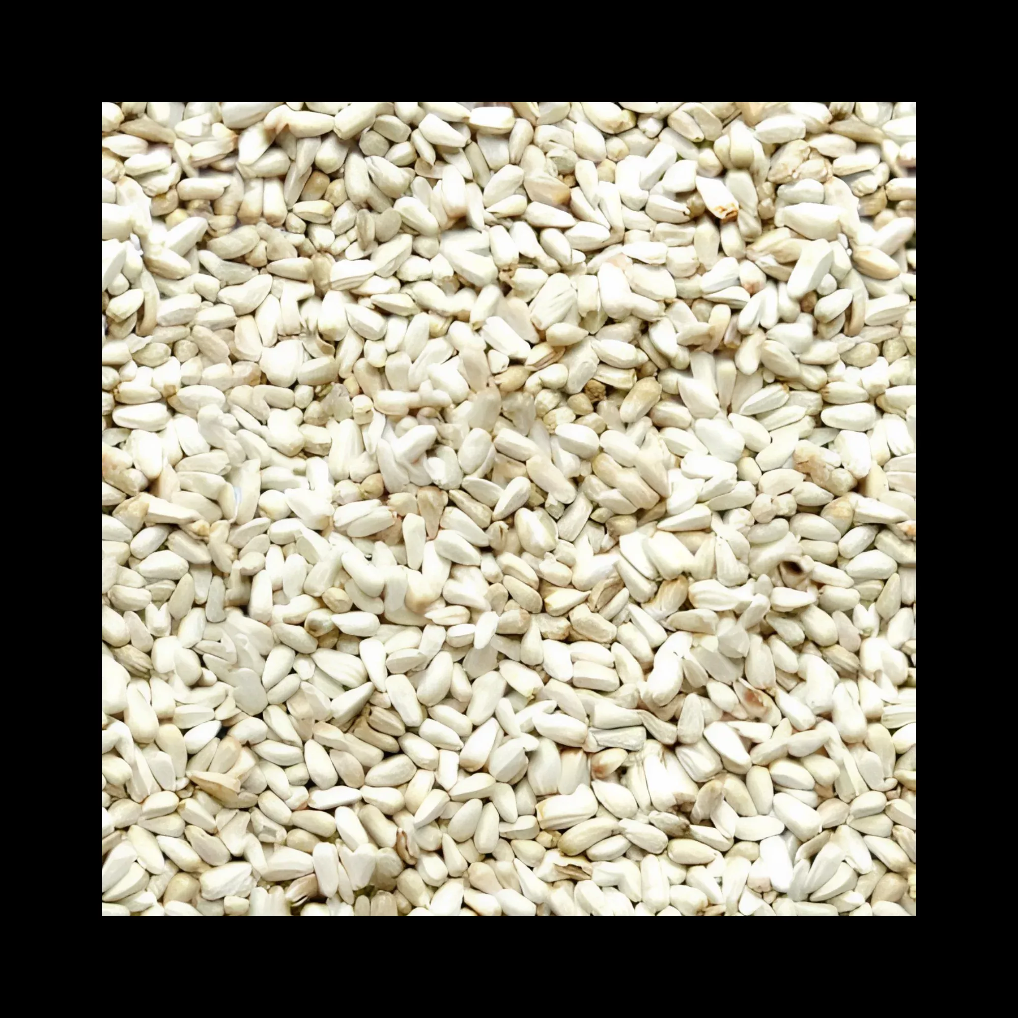 Safflower Bird Seed