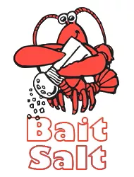 Salt Fine White 50lb-fine loose : 50lb