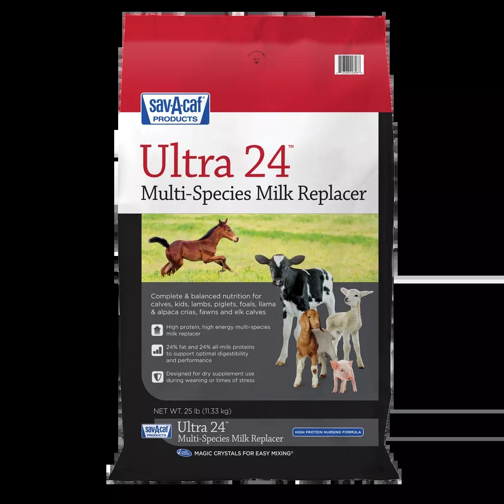 Sav-A-Caf Ultra 24 Multi-Species Milk Replacer, 8lb bag