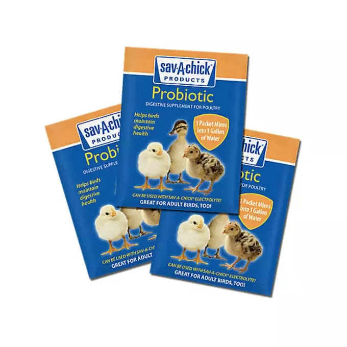 Sav-A-Chick Probiotic Supplement – 3 pack